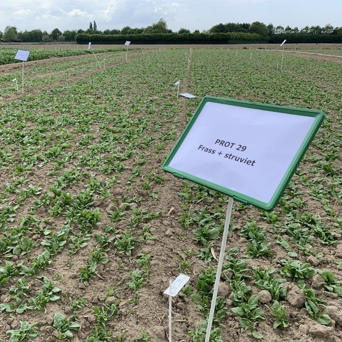 Photo field Inagro